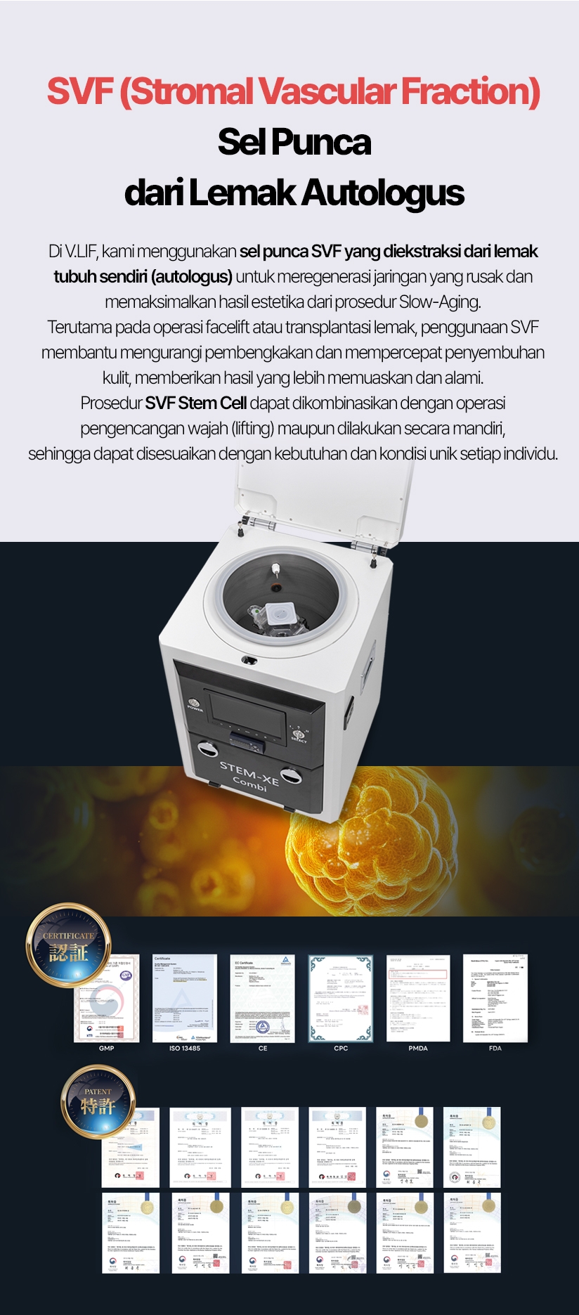 SVF (Stromal Vascular Fraction) — Sel Punca dari Lemak Autologus Di V.LIF, kami menggunakan sel punca SVF yang diekstraksi dari lemak tubuh sendiri (autologus) untuk meregenerasi jaringan yang rusak dan memaksimalkan hasil estetika dari prosedur Slow-Aging. Terutama pada operasi facelift atau transplantasi lemak, penggunaan SVF membantu mengurangi pembengkakan dan mempercepat penyembuhan kulit, memberikan hasil yang lebih memuaskan dan alami. Prosedur SVF Stem Cell dapat dikombinasikan dengan operasi pengencangan wajah (lifting) maupun dilakukan secara mandiri, sehingga dapat disesuaikan dengan kebutuhan dan kondisi unik setiap individu.