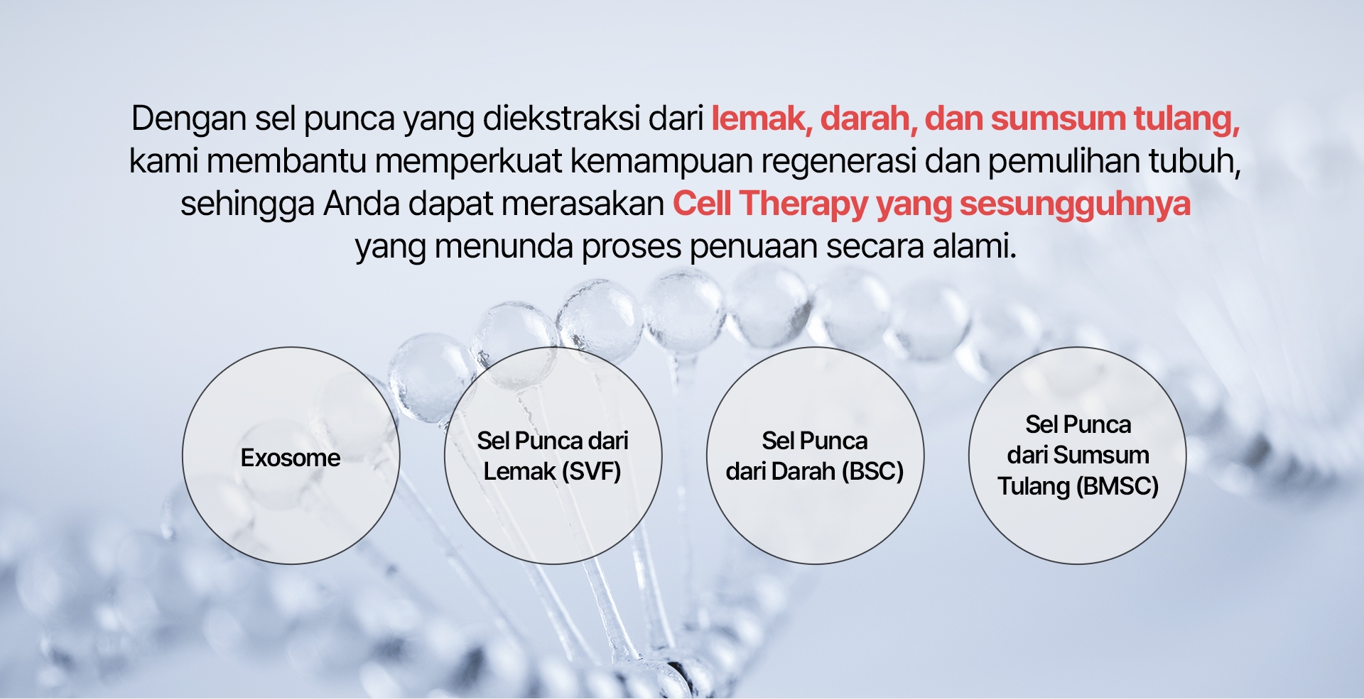 Dengan sel punca yang diekstraksi dari lemak, darah, dan sumsum tulang, kami membantu memperkuat kemampuan regenerasi dan pemulihan tubuh, sehingga Anda dapat merasakan Cell Therapy yang sesungguhnya yang menunda proses penuaan secara alami. Exosome        Sel Punca dari Lemak (SVF)           Sel Punca dari Darah (BSC)             Sel Punca dari Sumsum Tulang (BMSC)