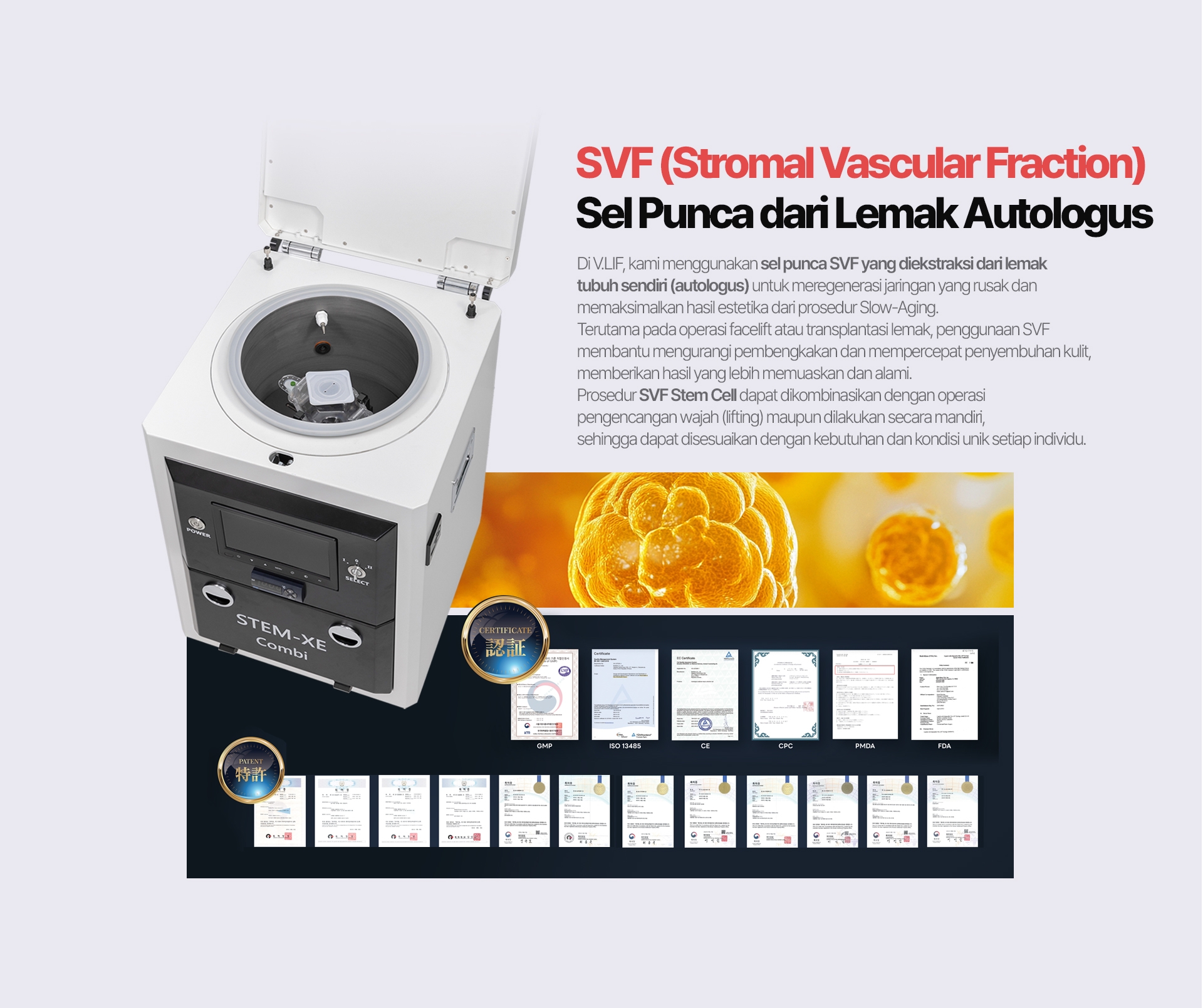 SVF (Stromal Vascular Fraction) — Sel Punca dari Lemak Autologus Di V.LIF, kami menggunakan sel punca SVF yang diekstraksi dari lemak tubuh sendiri (autologus) untuk meregenerasi jaringan yang rusak dan memaksimalkan hasil estetika dari prosedur Slow-Aging. Terutama pada operasi facelift atau transplantasi lemak, penggunaan SVF membantu mengurangi pembengkakan dan mempercepat penyembuhan kulit, memberikan hasil yang lebih memuaskan dan alami. Prosedur SVF Stem Cell dapat dikombinasikan dengan operasi pengencangan wajah (lifting) maupun dilakukan secara mandiri, sehingga dapat disesuaikan dengan kebutuhan dan kondisi unik setiap individu.