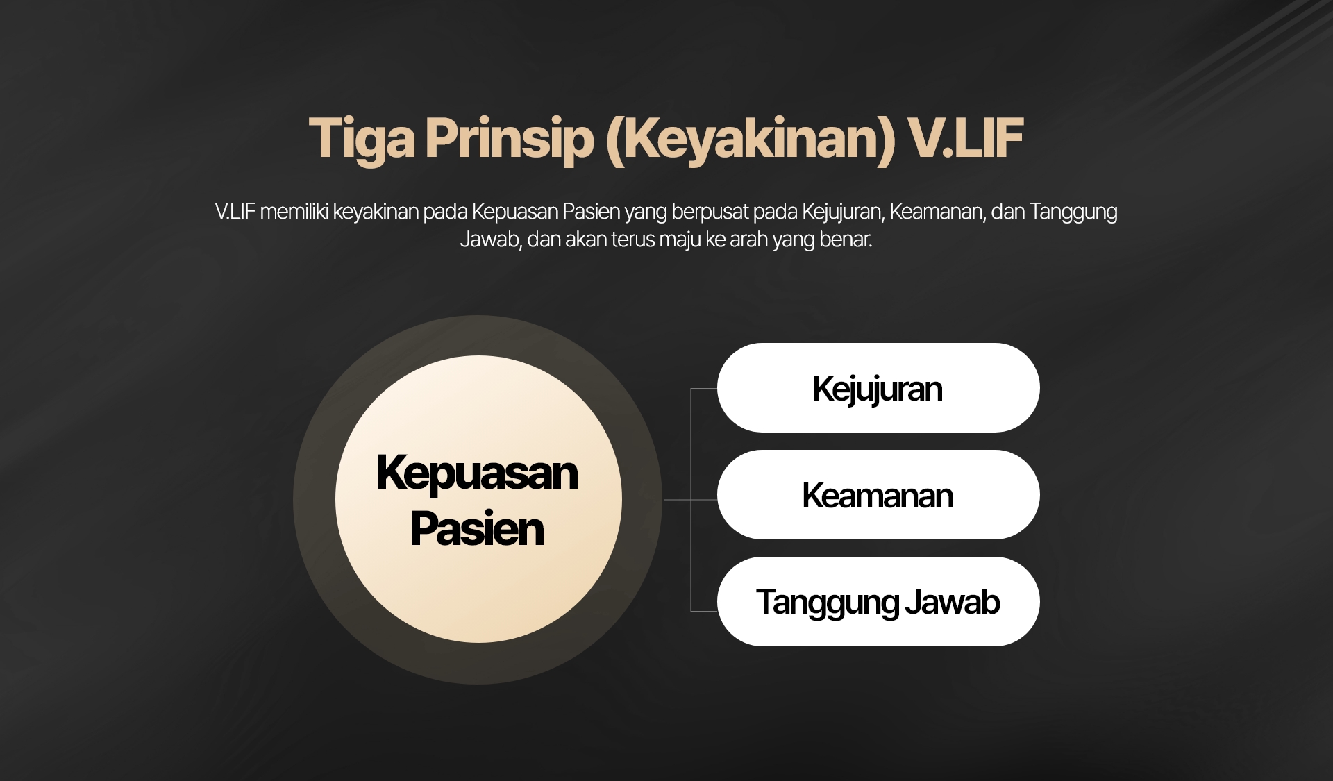 Tiga Prinsip (Keyakinan) V.LIF V.LIF memiliki keyakinan pada Kepuasan Pasien yang berpusat pada Kejujuran, Keamanan, dan Tanggung Jawab, dan akan terus maju ke arah yang benar. Kepuasan Pasien Kejujuran Keamanan Tanggung Jawab